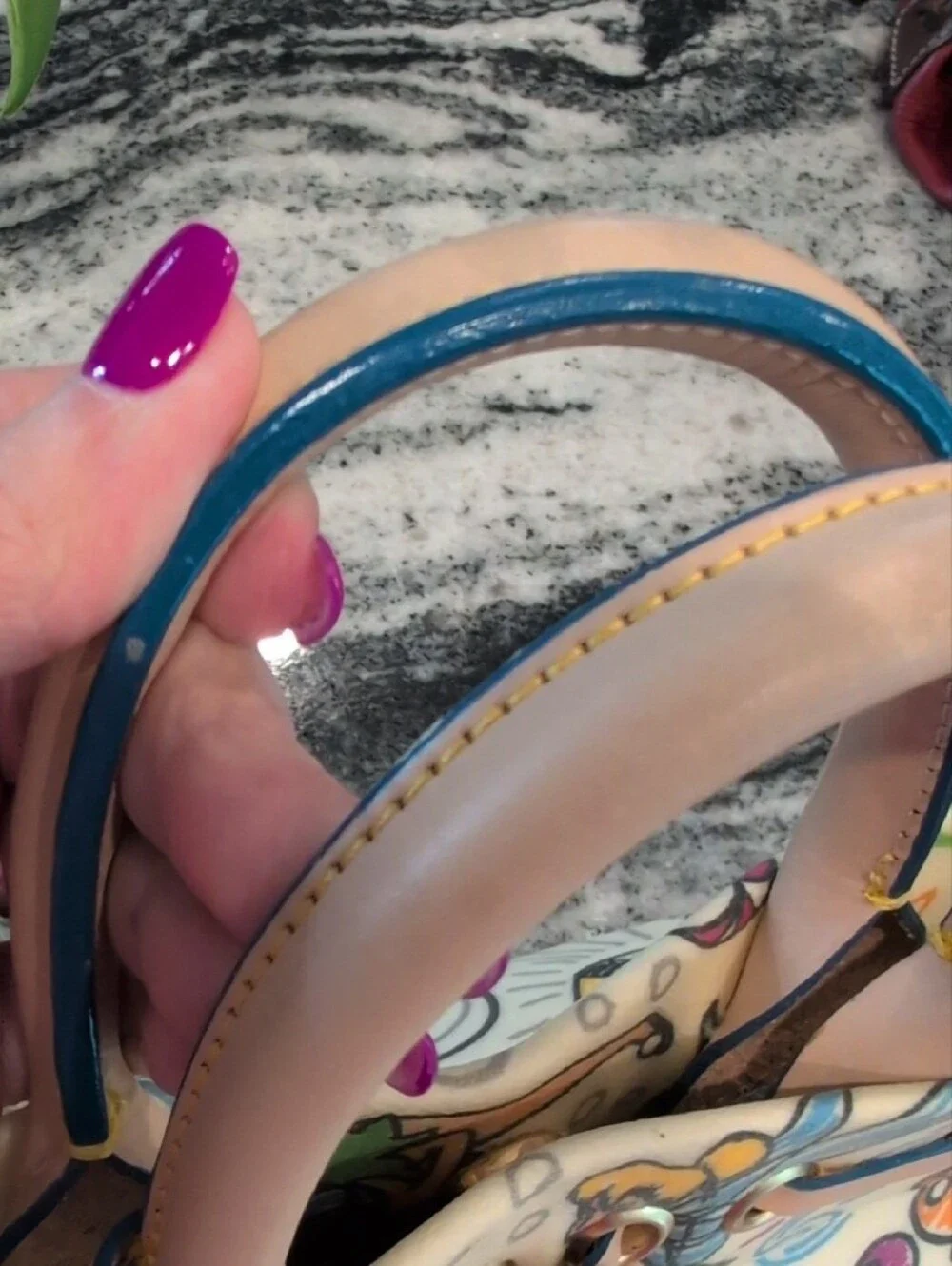 Dooney & Bourke Disneyland Disney Parks Sketch Satchel Bag